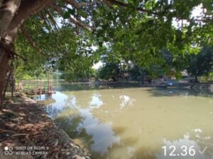 Menjaga Lingkungan (Alam dan Budaya) Surabaya Untuk Keberlanjutan (Sustainability)